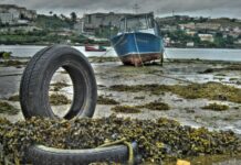 ¿CONOCES LOS FENÓMENOS DE LA MAREA VIVA Y LA MAREA MUERTA?