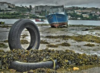 ¿CONOCES LOS FENÓMENOS DE LA MAREA VIVA Y LA MAREA MUERTA?