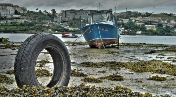 ¿CONOCES LOS FENÓMENOS DE LA MAREA VIVA Y LA MAREA MUERTA?