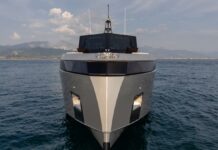 WALLY WHY 100: TALENTO CREATIVO