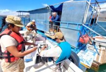 MENDOZA – EL DEPARTAMENTO NÁUTICO CONTROLÓ MÁS DE 40 EMBARCACIONES EN AGUA DEL TORO