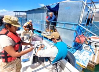 MENDOZA – EL DEPARTAMENTO NÁUTICO CONTROLÓ MÁS DE 40 EMBARCACIONES EN AGUA DEL TORO