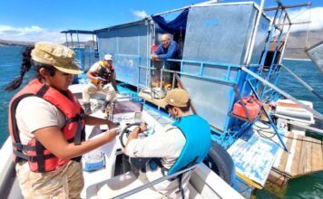 MENDOZA – EL DEPARTAMENTO NÁUTICO CONTROLÓ MÁS DE 40 EMBARCACIONES EN AGUA DEL TORO