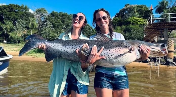 UN GESTO DE NOBLEZA: DOS MUJERES PESCAN Y DEVUELVEN UN SURUBÍ DE 55 KILOGRAMOS AL RÍO PARANÁ