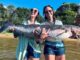 UN GESTO DE NOBLEZA: DOS MUJERES PESCAN Y DEVUELVEN UN SURUBÍ DE 55 KILOGRAMOS AL RÍO PARANÁ