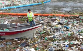 PISTA NACIONAL DE REMO: EL MUNICIPIO DE TIGRE SOLICITÓ REPOSICIÓN DE LAS MANGAS DE PROTECCIÓN FLOTANTES