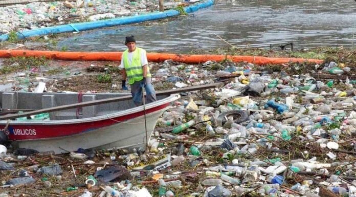 PISTA NACIONAL DE REMO: EL MUNICIPIO DE TIGRE SOLICITÓ REPOSICIÓN DE LAS MANGAS DE PROTECCIÓN FLOTANTES