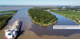 APARECIÓ UNA GRAN MANCHA MARRÓN EN EL RÍO PARANÁ A LA ALTURA DE SAN PEDRO