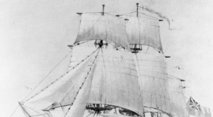ENCONTRARON LOS RESTOS DE UN BARCO QUE PODRÍA PERTENECER AL MÍTICO CAPITÁN INGLÉS JAMES COOK