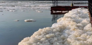 EL RÍO URUGUAY SIGUE CRECIENDO Y AHORA SE SUMÓ LA ESPUMA, PERO EXPLICARON QUE ES “DE ORIGEN NATURAL”