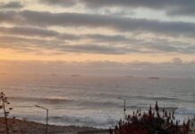 UNA POSTAL INUSUAL: ¿PORQUÉ HAY TANTOS BARCOS PESQUEROS FRENTE A LA COSTA DE MAR DEL PLATA?