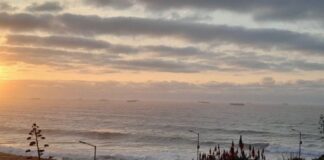 UNA POSTAL INUSUAL: ¿PORQUÉ HAY TANTOS BARCOS PESQUEROS FRENTE A LA COSTA DE MAR DEL PLATA?