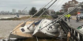 TEMPORAL CON FUERTES VIENTOS ARRASTRÓ TRES VELEROS EN EL PUERTO DE PUNTA DEL ESTE
