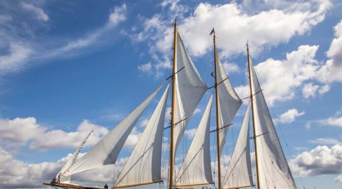 LA SINIESTRA HISTORIA DEL CREOLE, EL VELERO DE LA FAMILIA GUCCI