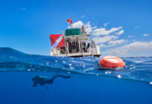 GARMIN REVOLUCIONA LA SEGURIDAD EN EL BUCEO CON EL INNOVADOR DESCENT S1 SMART BUOY