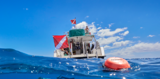 GARMIN REVOLUCIONA LA SEGURIDAD EN EL BUCEO CON EL INNOVADOR DESCENT S1 SMART BUOY