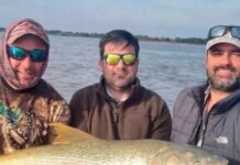 IMPACTANTE DORADO DE 1,10 METROS FUE CAPTURADO Y DEVUELTO AL PARNÁ EN ESQUINA