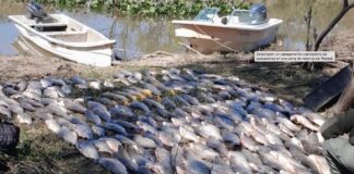 DESMANTELAN CAMPAMENTO DE PESCA ILEGAL EN ESQUINA CON MÁS DE 300 PECES FUERA DE MEDIDA