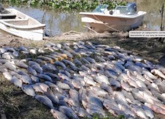 DESMANTELAN CAMPAMENTO DE PESCA ILEGAL EN ESQUINA CON MÁS DE 300 PECES FUERA DE MEDIDA