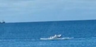 VIDEO – UN SEMIRRIGIDO SIN CONTROL TIRÓ A SU TIMONEL AL MAR EN PUERTO MADRYN