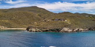 OMIKRON YACHTS SE PRESENTARÁ EN EL SALÓN NÁUTICO DE GÉNOVA POR PRIMERA VEZ