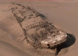 EL BOM JESUS: CINCO SIGLOS DE MISTERIO EN LA COSTA DE LOS ESQUELETOS