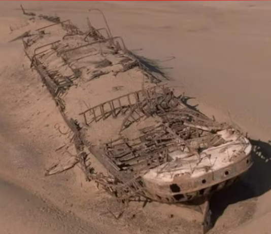 EL BOM JESUS: CINCO SIGLOS DE MISTERIO EN LA COSTA DE LOS ESQUELETOS