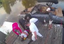 UNA MUJER RECIBIÓ UN DISPARO MIENTRAS NAVEGABA CON SU FAMILIA EN ESCOBAR