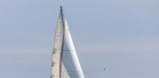 MISTERIO EN ALTA MAR: REMOLCAN EL VELERO CON DOS TRIPULANTES FALLECIDOS