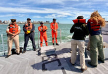 MAR DEL PLATA: PREFECTURA REGRESÓ UNA TORTUGA VERDE MARINA A SU HÁBITAT NATURAL