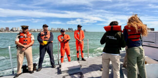 MAR DEL PLATA: PREFECTURA REGRESÓ UNA TORTUGA VERDE MARINA A SU HÁBITAT NATURAL