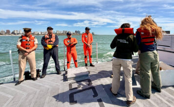 MAR DEL PLATA: PREFECTURA REGRESÓ UNA TORTUGA VERDE MARINA A SU HÁBITAT NATURAL