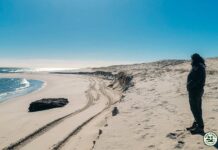 LA EROSIÓN COSTERA DEJA AL DESCUBIERTO UN NAUFRAGIO DE CASI 140 AÑOS EN NUEVA JERSEY