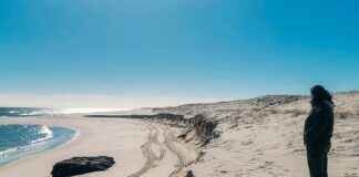 LA EROSIÓN COSTERA DEJA AL DESCUBIERTO UN NAUFRAGIO DE CASI 140 AÑOS EN NUEVA JERSEY