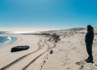 LA EROSIÓN COSTERA DEJA AL DESCUBIERTO UN NAUFRAGIO DE CASI 140 AÑOS EN NUEVA JERSEY