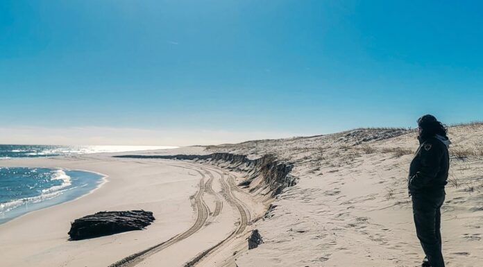 LA EROSIÓN COSTERA DEJA AL DESCUBIERTO UN NAUFRAGIO DE CASI 140 AÑOS EN NUEVA JERSEY