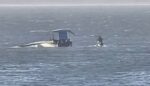 VUELCO DE UN CATAMARÁN FRENTE A LA COSTA DE PUNTA DEL ESTE: CINCO PERSONAS FUERON RESCATADAS SIN LESIONES GRAVES