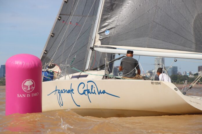 WhatsApp Image 2026-02-23 at 16.22.31