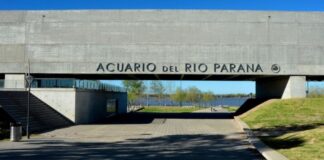 EL ACUARIO DEL RÍO PARANÁ CELEBRA SU OCTAVO ANIVERSARIO CON ACTIVIDADES GRATUITAS PARA TODA LA COMUNIDAD