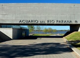 EL ACUARIO DEL RÍO PARANÁ CELEBRA SU OCTAVO ANIVERSARIO CON ACTIVIDADES GRATUITAS PARA TODA LA COMUNIDAD