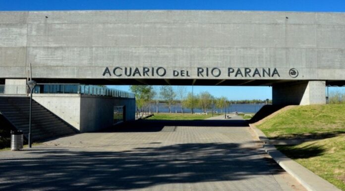 EL ACUARIO DEL RÍO PARANÁ CELEBRA SU OCTAVO ANIVERSARIO CON ACTIVIDADES GRATUITAS PARA TODA LA COMUNIDAD