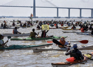 TRAVESÍA NÁUTICA ENTRE ROSARIO Y VICTORIA EN DEFENSA DEL RÍO PARANÁ Y SUS HUMEDALES