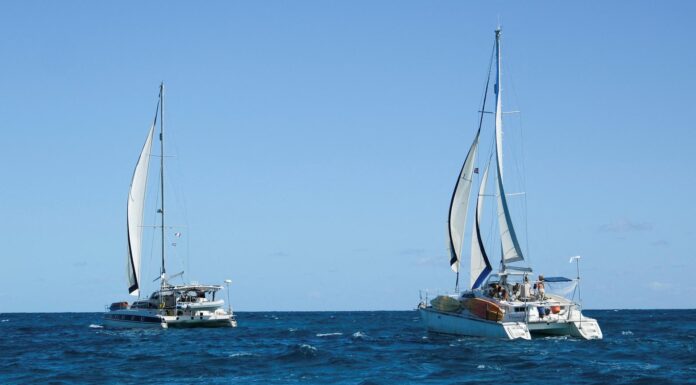 RESCATAN EN EL CARIBE A DOS VELEROS DESAPARECIDOS RUMBO A CUBA: LOS NUEVE TRIPULANTES ESTÁN A SALVO