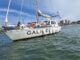 EL VELERO GALILEO REGRESÓ A MAR DEL PLATA TRAS 13 DÍAS DE NAVEGACIÓN DESDE LAS ISLAS MALVINAS