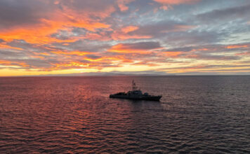 RELEVO DE DOTACIÓN Y OPERACIONES LOGÍSTICAS EN ISLA DE LOS ESTADOS CON LA ARA “INDÓMITA”
