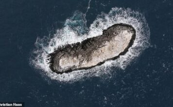 DESCUBREN UNA ISLA DESCONOCIDA EN LA ANTÁRTIDA MARCADA COMO ZONA DE PELIGRO