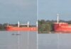 IMPACTANTE CHOQUE EN EL PARANÁ: UN BARCO PERDIÓ EL CONTROL Y SE ESTRELLÓ CONTRA LAS ISLAS