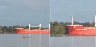 IMPACTANTE CHOQUE EN EL PARANÁ: UN BARCO PERDIÓ EL CONTROL Y SE ESTRELLÓ CONTRA LAS ISLAS