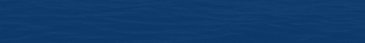 spot_img