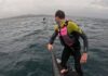 (VIDEO) SUSTO EN EL MAR: UN TIBURÓN BLANCO PERSIGUIÓ A DOS SURFISTAS EN CALIFORNIA
